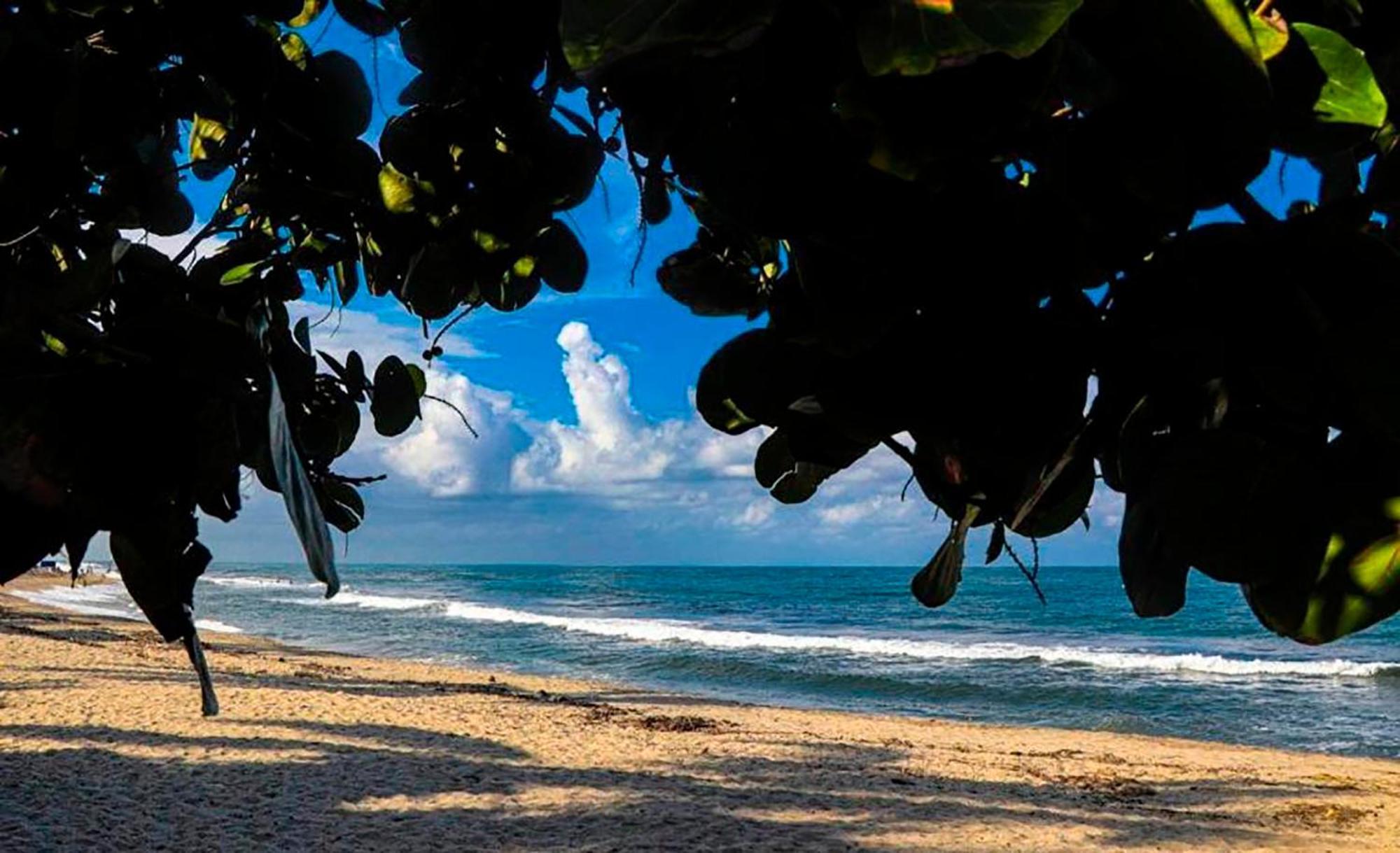 Hostal Mirador Dentro Del Parque Tayrona El Zaino Bagian luar foto