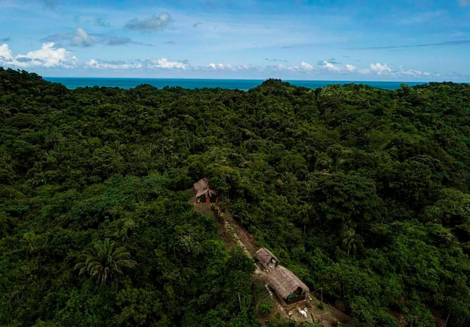 Hostal Mirador Dentro Del Parque Tayrona El Zaino Bagian luar foto