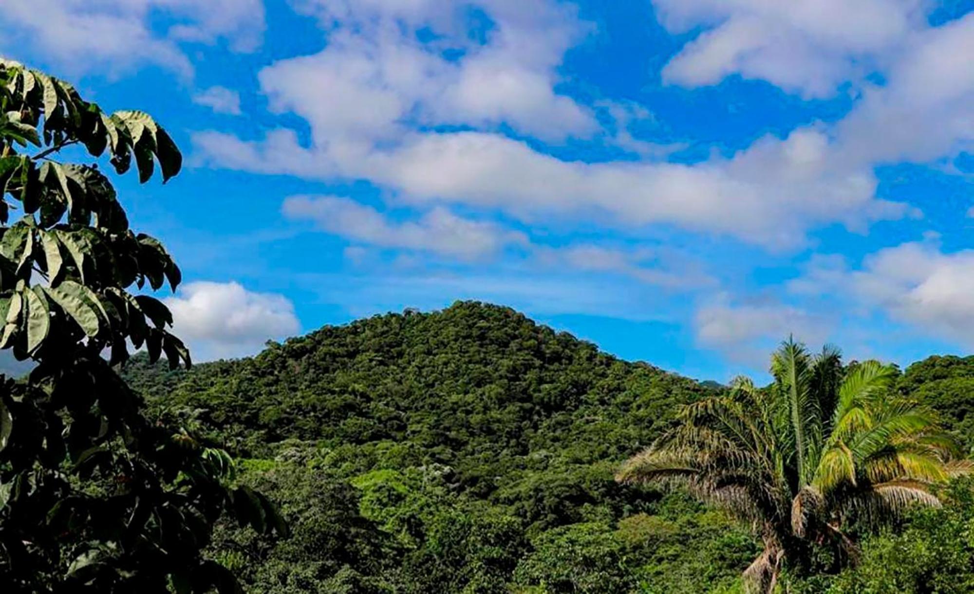 Hostal Mirador Dentro Del Parque Tayrona El Zaino Bagian luar foto
