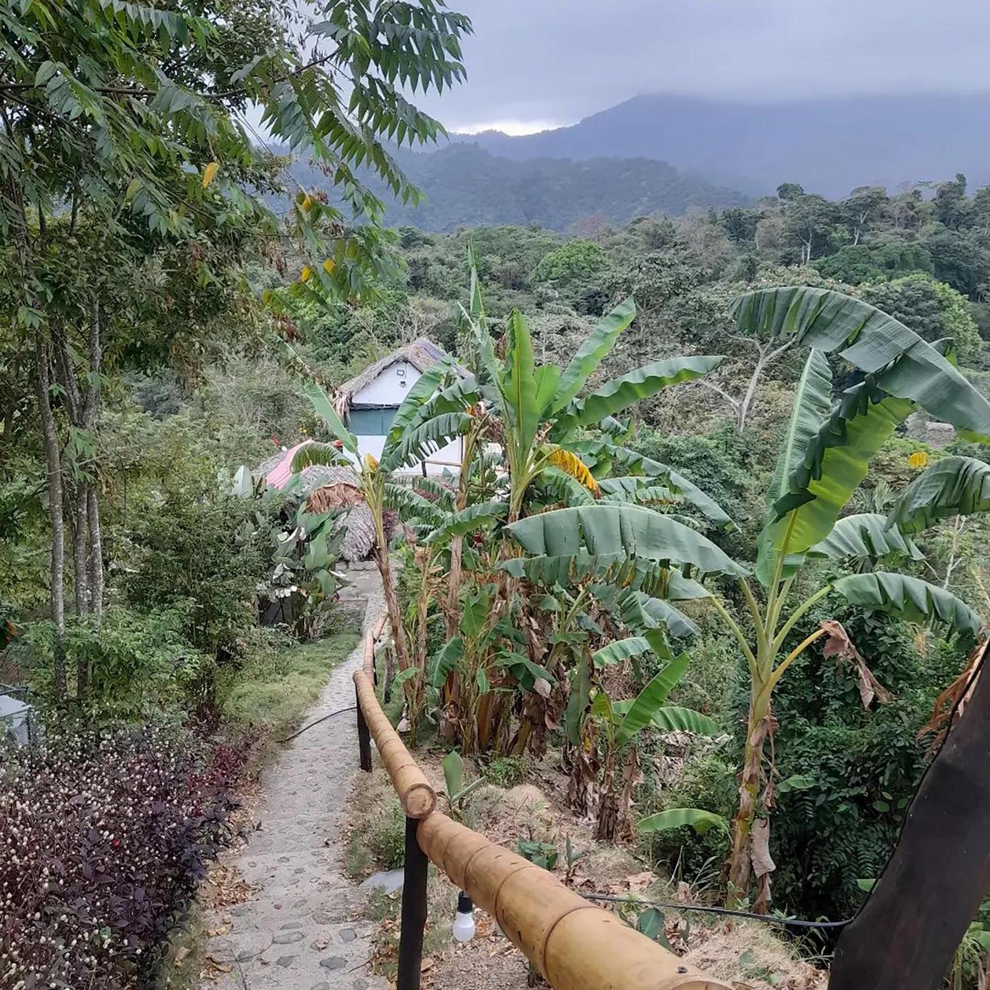 Hostal Mirador Dentro Del Parque Tayrona El Zaino Bagian luar foto