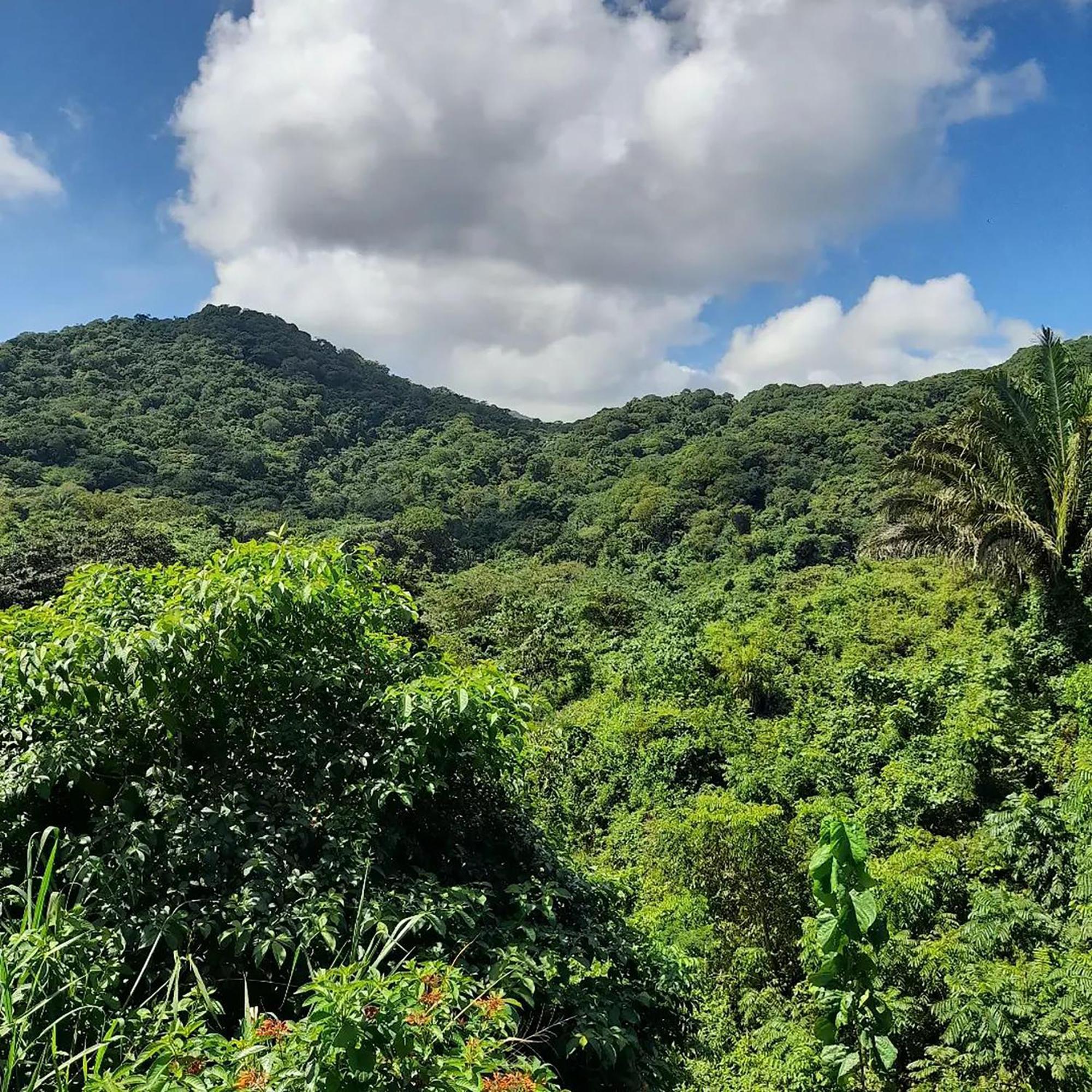 Hostal Mirador Dentro Del Parque Tayrona El Zaino Bagian luar foto