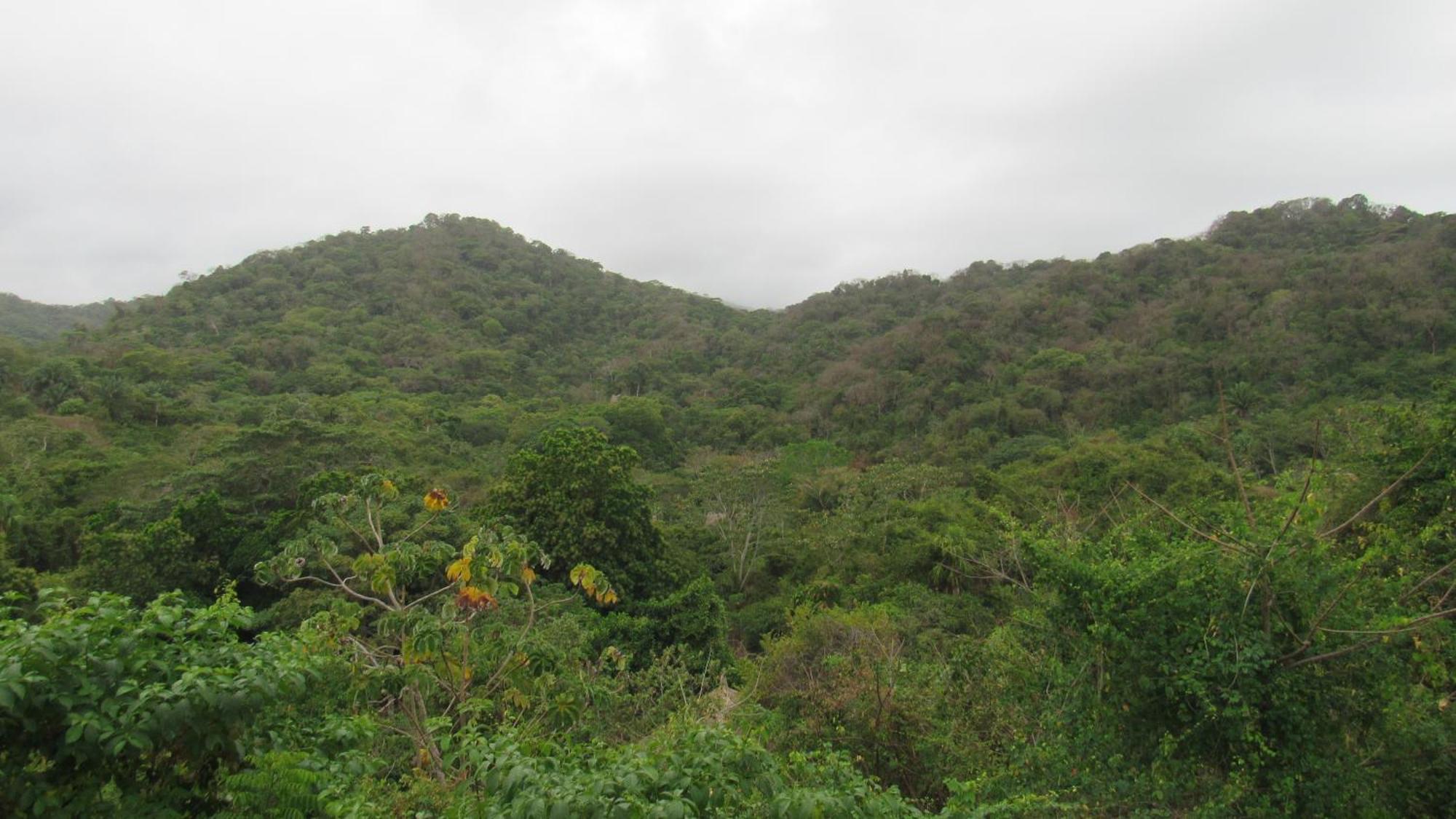 Hostal Mirador Dentro Del Parque Tayrona El Zaino Bagian luar foto